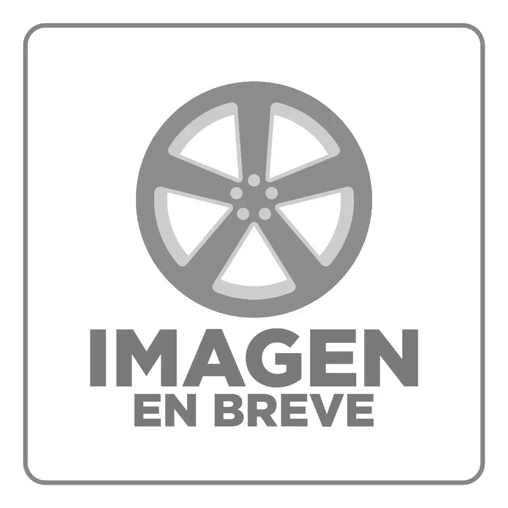 RIN 15X10 5-127 R1 SPORT 8007 SILVER MACHINE FACE MI+RIVETS ET-44 CB83